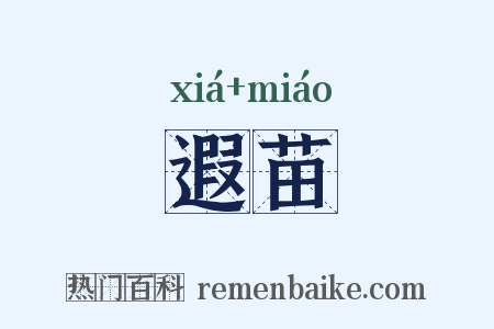 遐苗是什么意思的图片